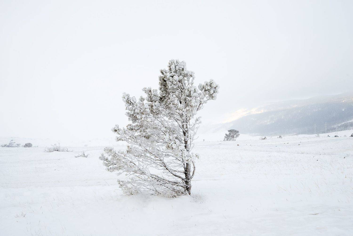 , Маргарита Фискина