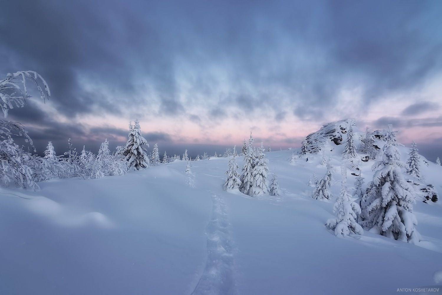 , Антон Кошетаров