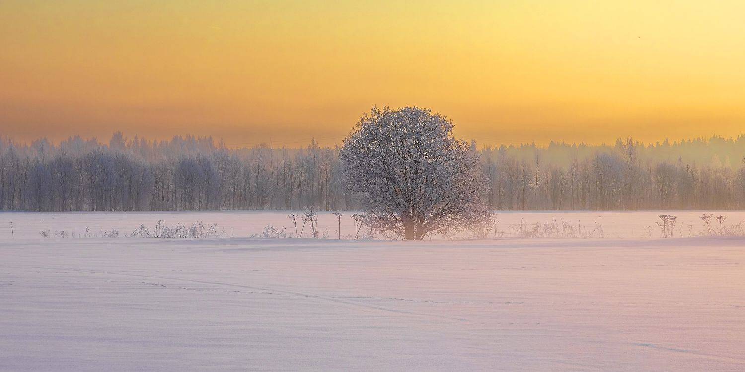 пейзаж, день, зима, мороз, снег, туман, Игнатьев Александр