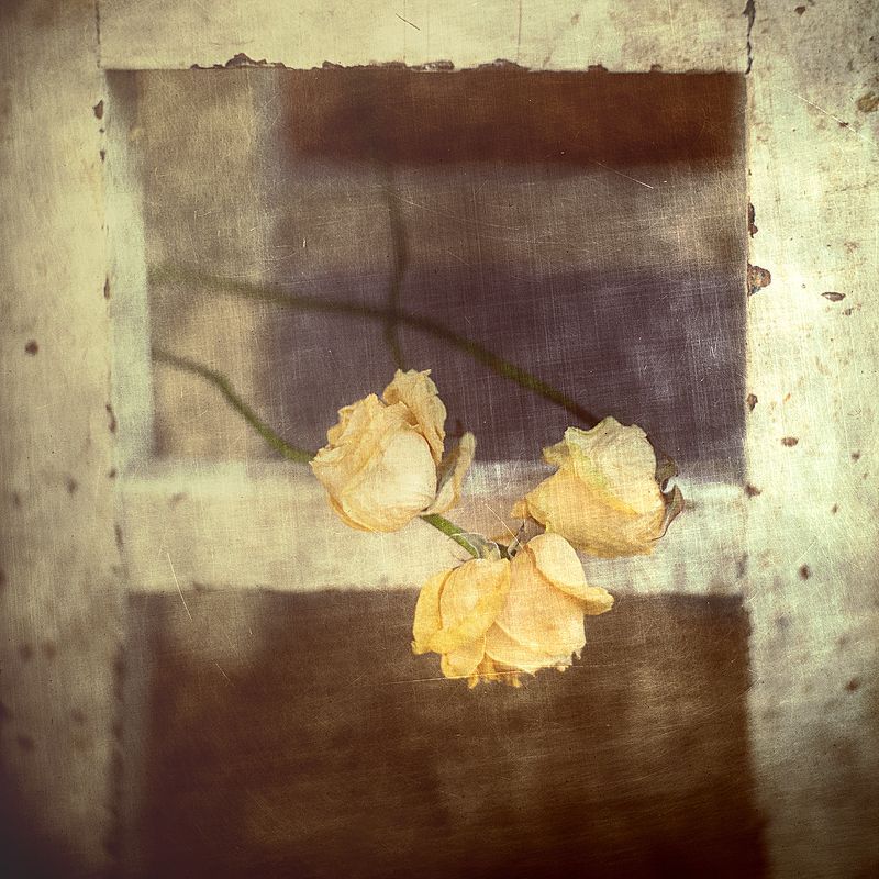 Памяти след... фото превью