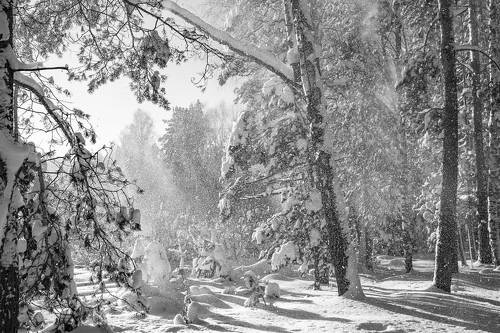 Осыпается снег...