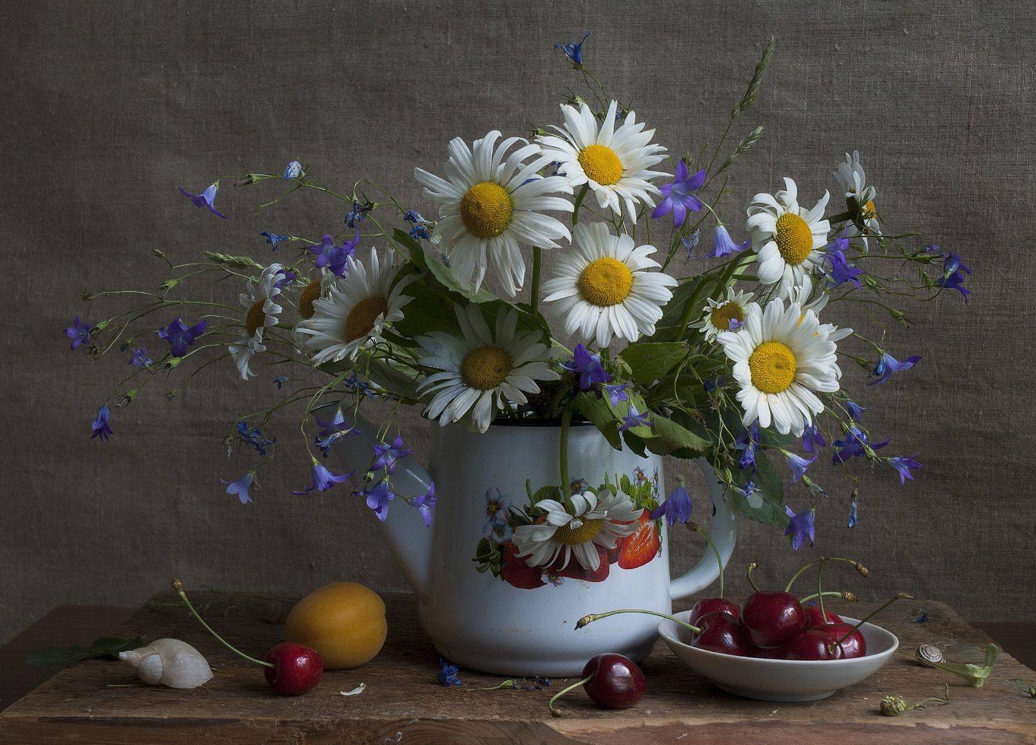 ромашки, лето, Колеснева Елена