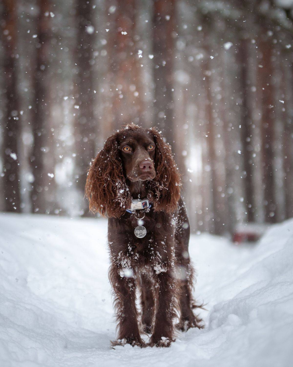 , Динара Зуйкова