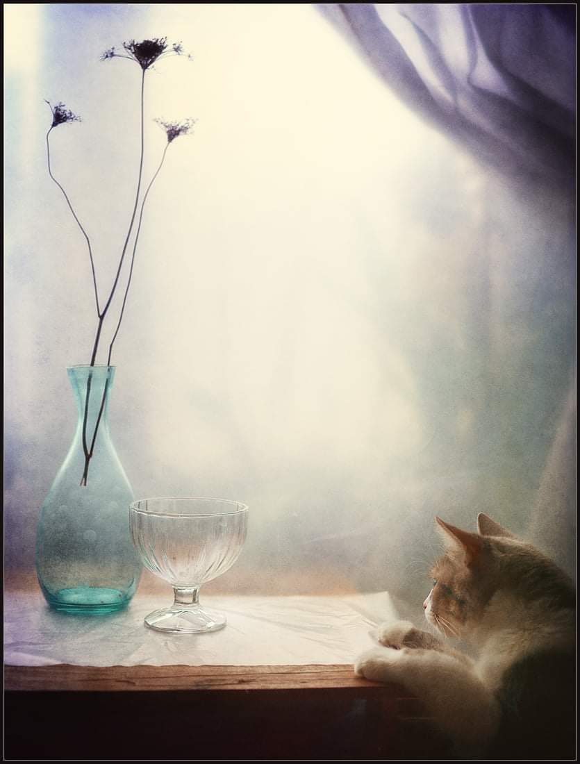 , Александр Хромеев