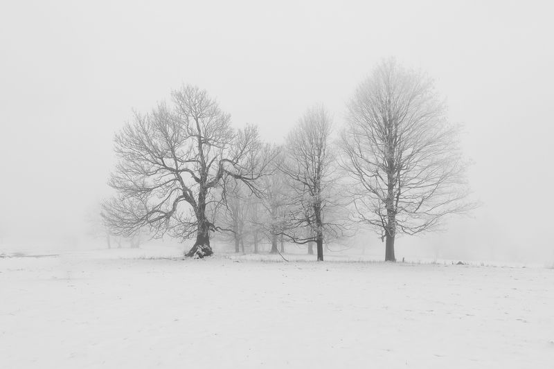 Ticho фото превью