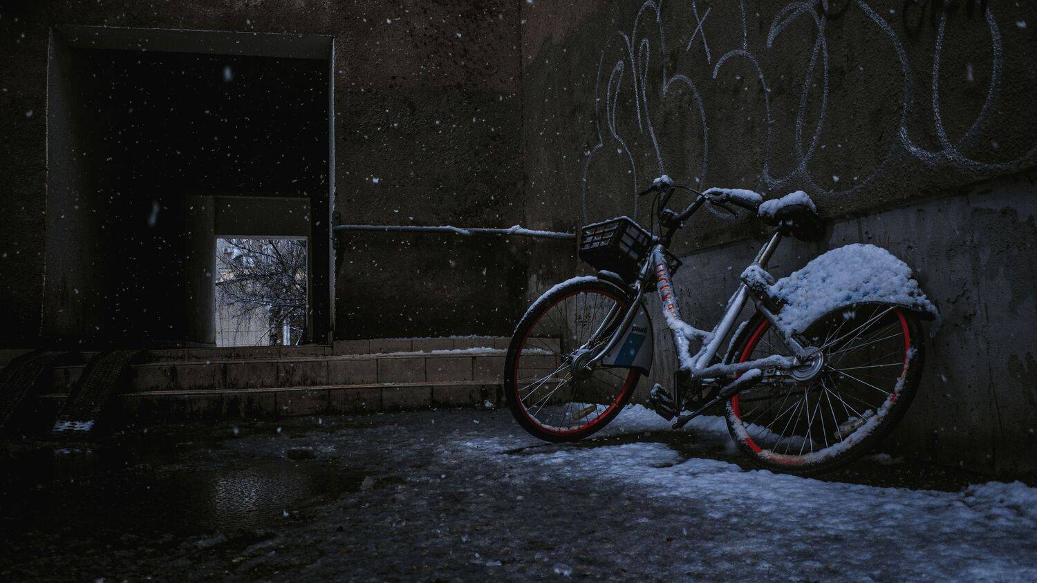 , Владимир Осауленко