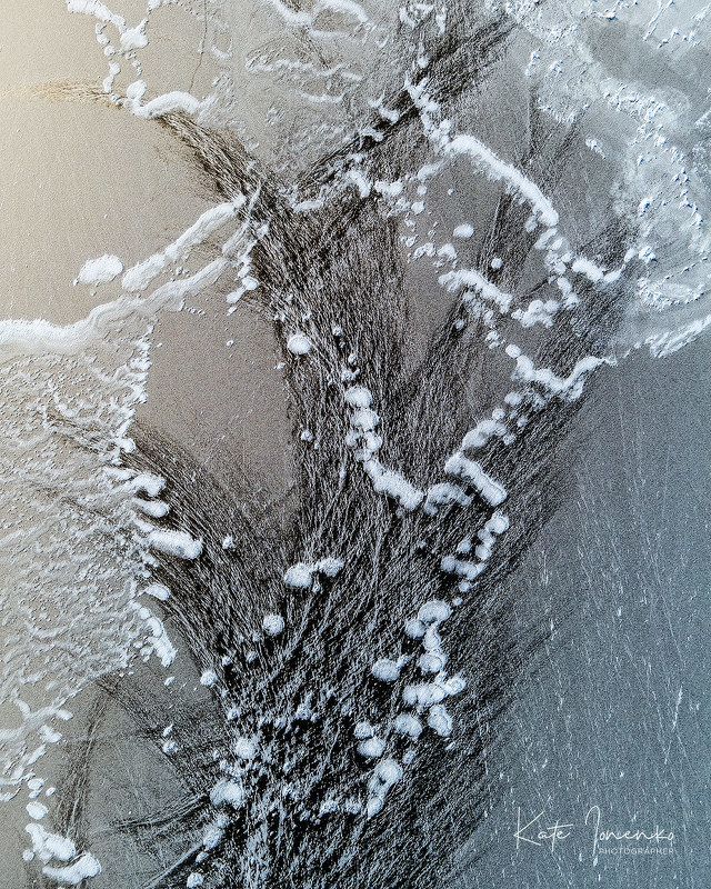 Зимние цветы фото превью