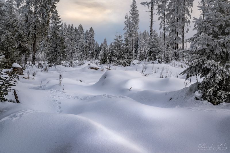 Šumava, Czech фото превью