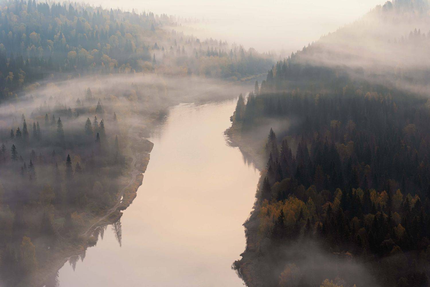 , Максим Ватрушкин