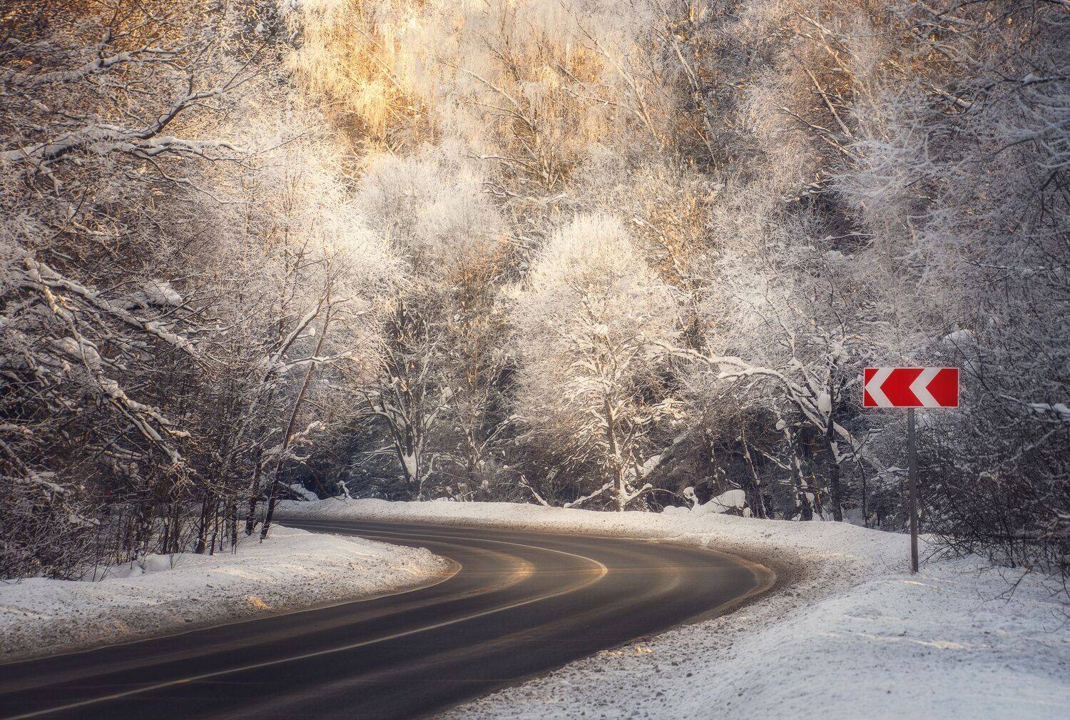 , Мозжухин Максим