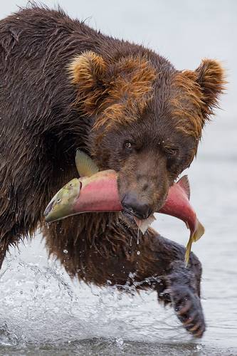 Пока никто не видит