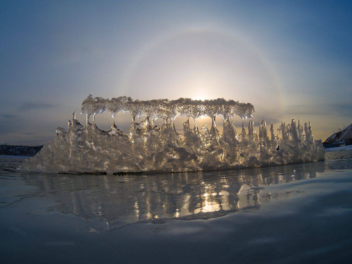 , Виктор Тришин