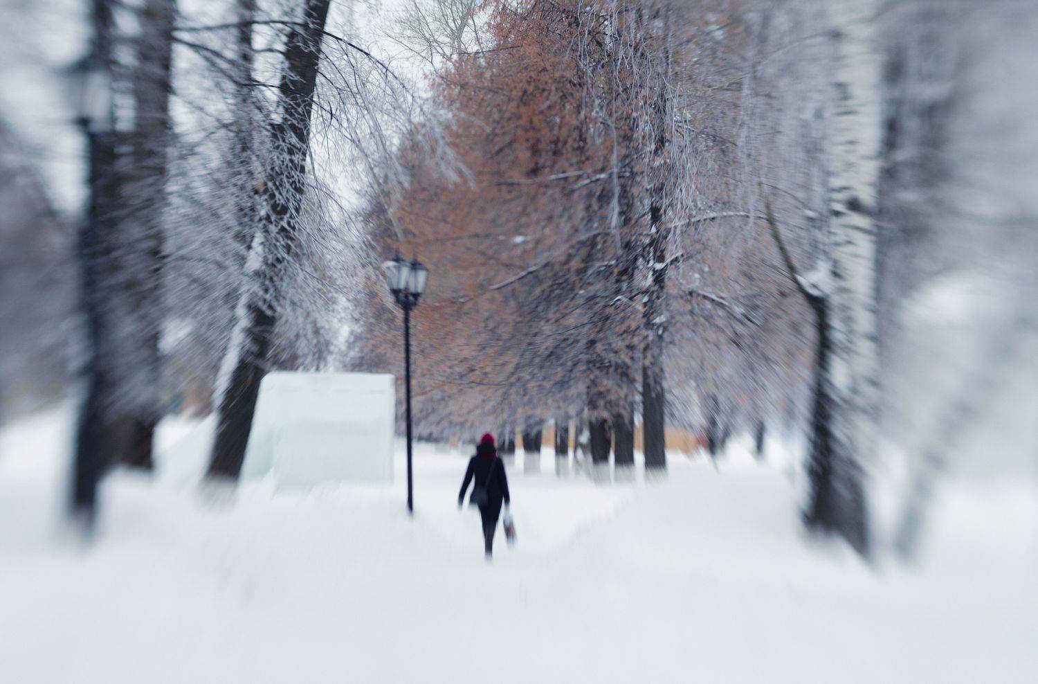 , Лариса Лофицкая