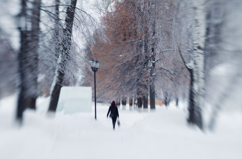 В парке фото превью