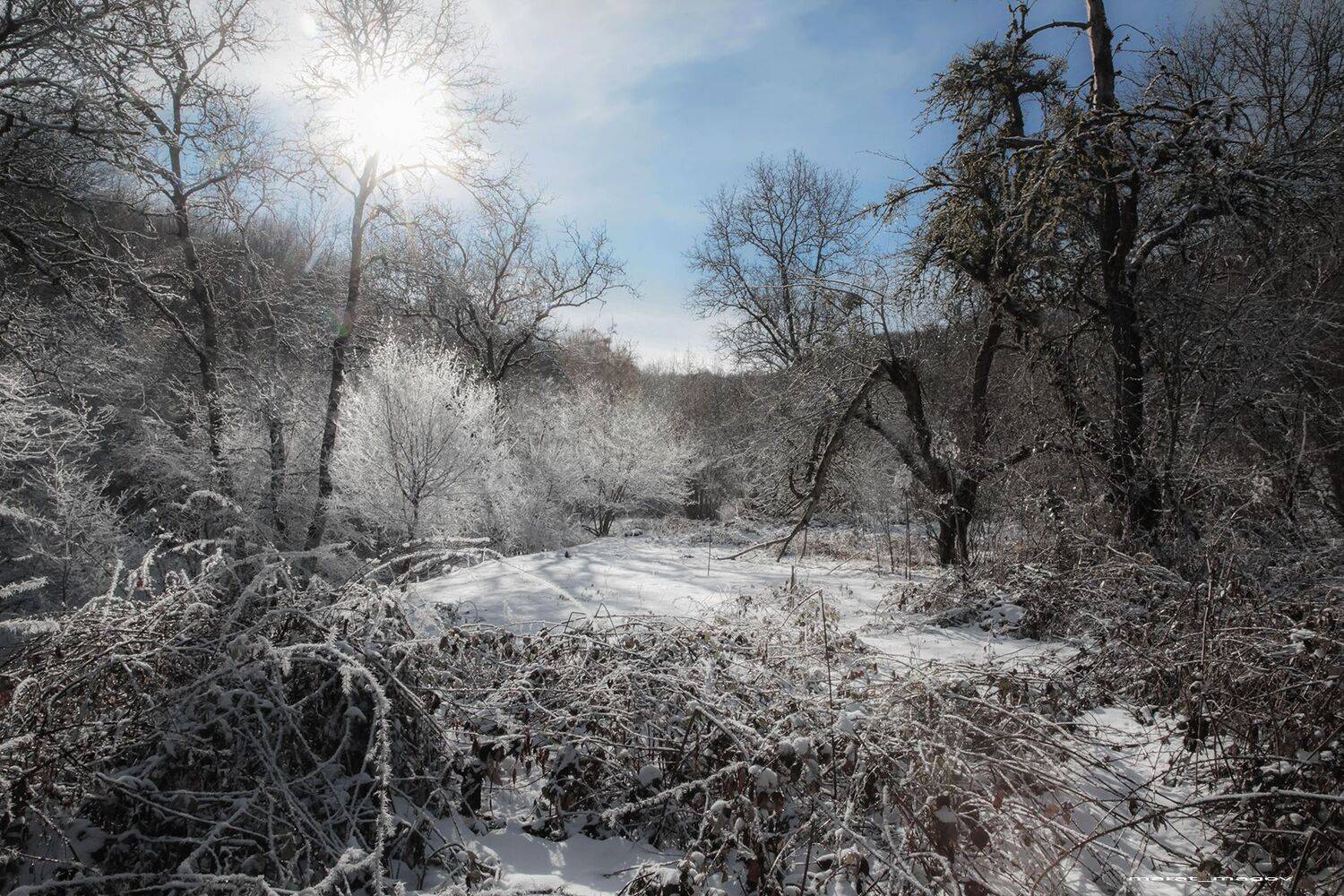 пейзаж,дагестан,зима,лес,, Marat Magov