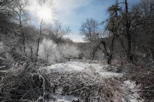 Зимний пейзаж..
