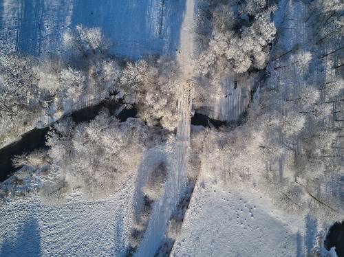 Зимняя Птичь