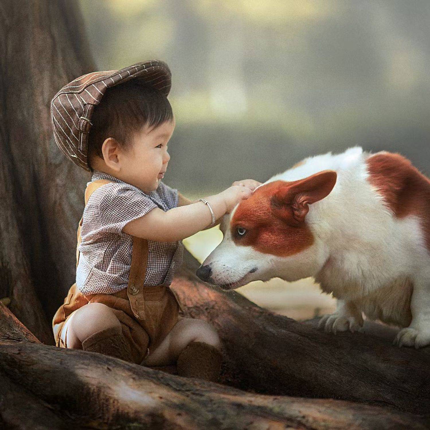 柯基犬, 姚文琦