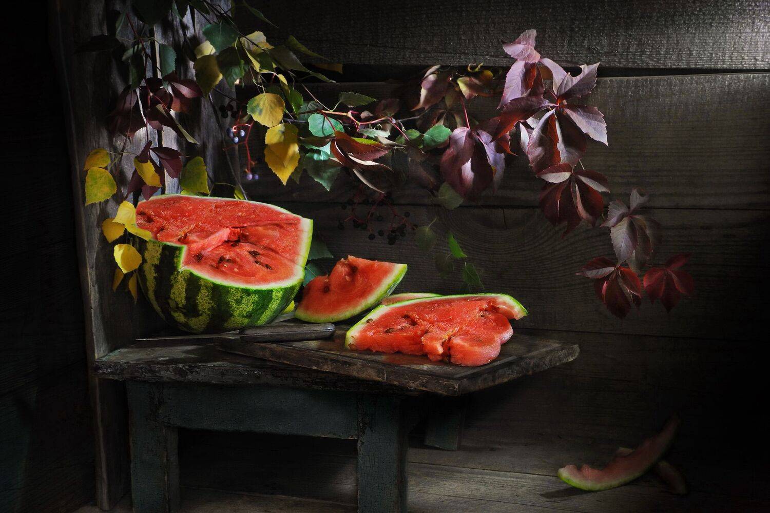 арбуз ягоды фрукты бахча дыня осень лето листья, Сергей Фунтовой