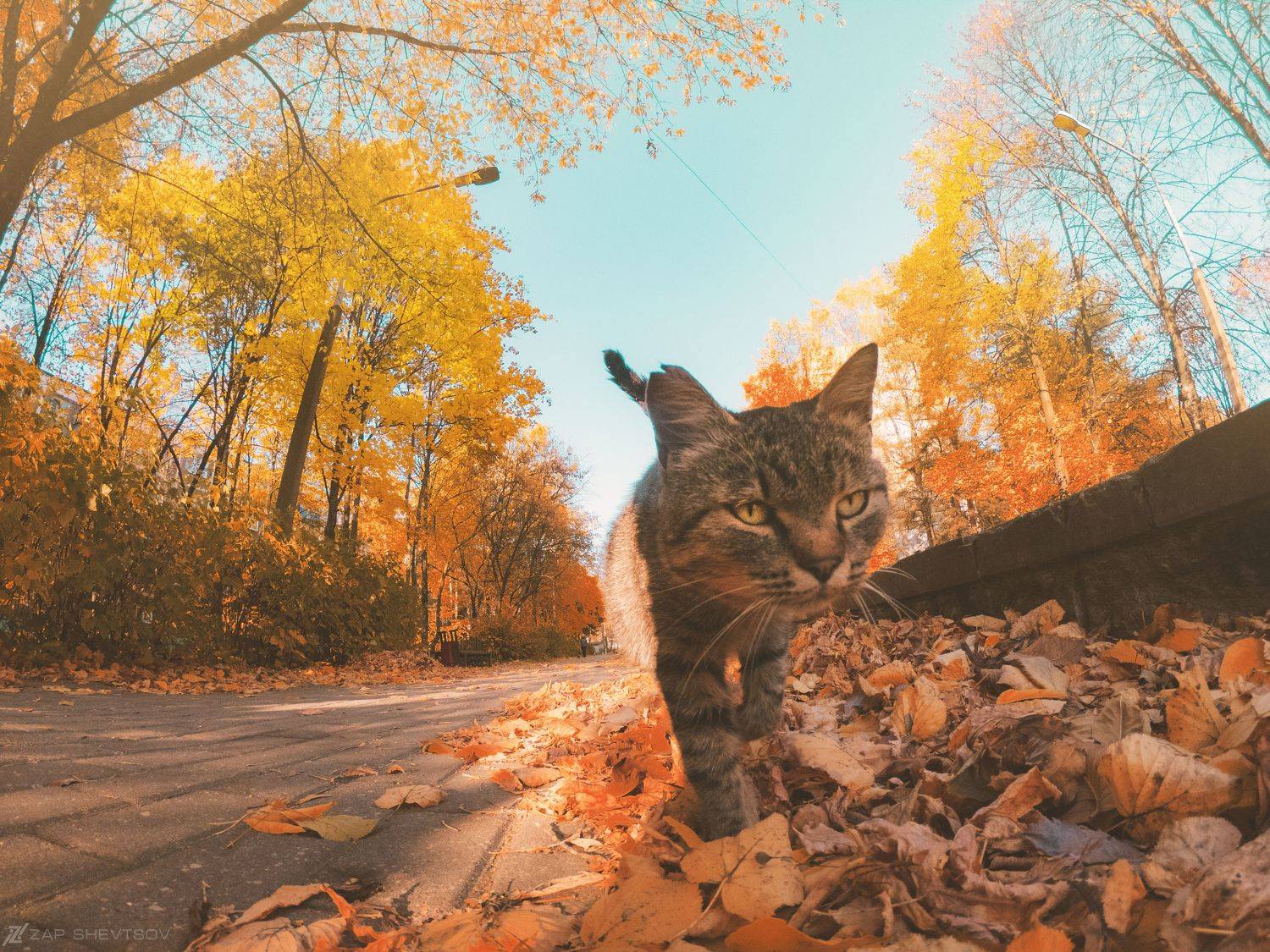 Аэрофото пейзаж город креативное необычное дрон река небо интересное профессиональное облака лето , Sergey Shevtsov