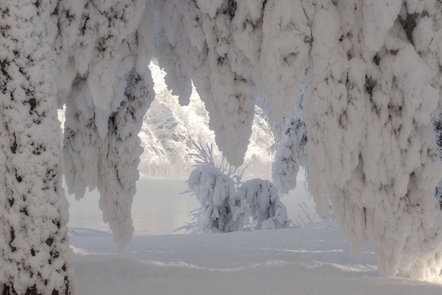 куржак,сибирь, мороз, Марина Фомина
