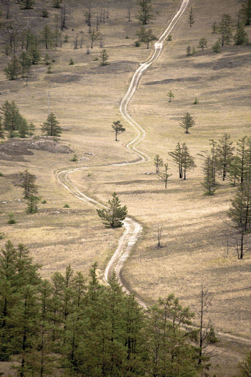, Андрей Логвинович