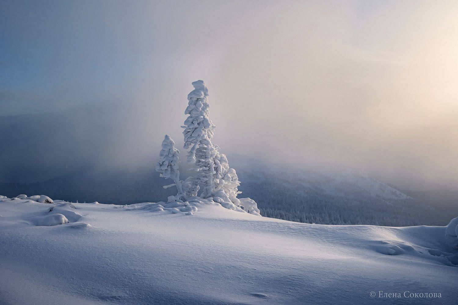 гора, уван, гора уван, южный урал, зимний пейзаж, ель, зима, Соколова Елена