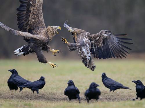battle on the second floor