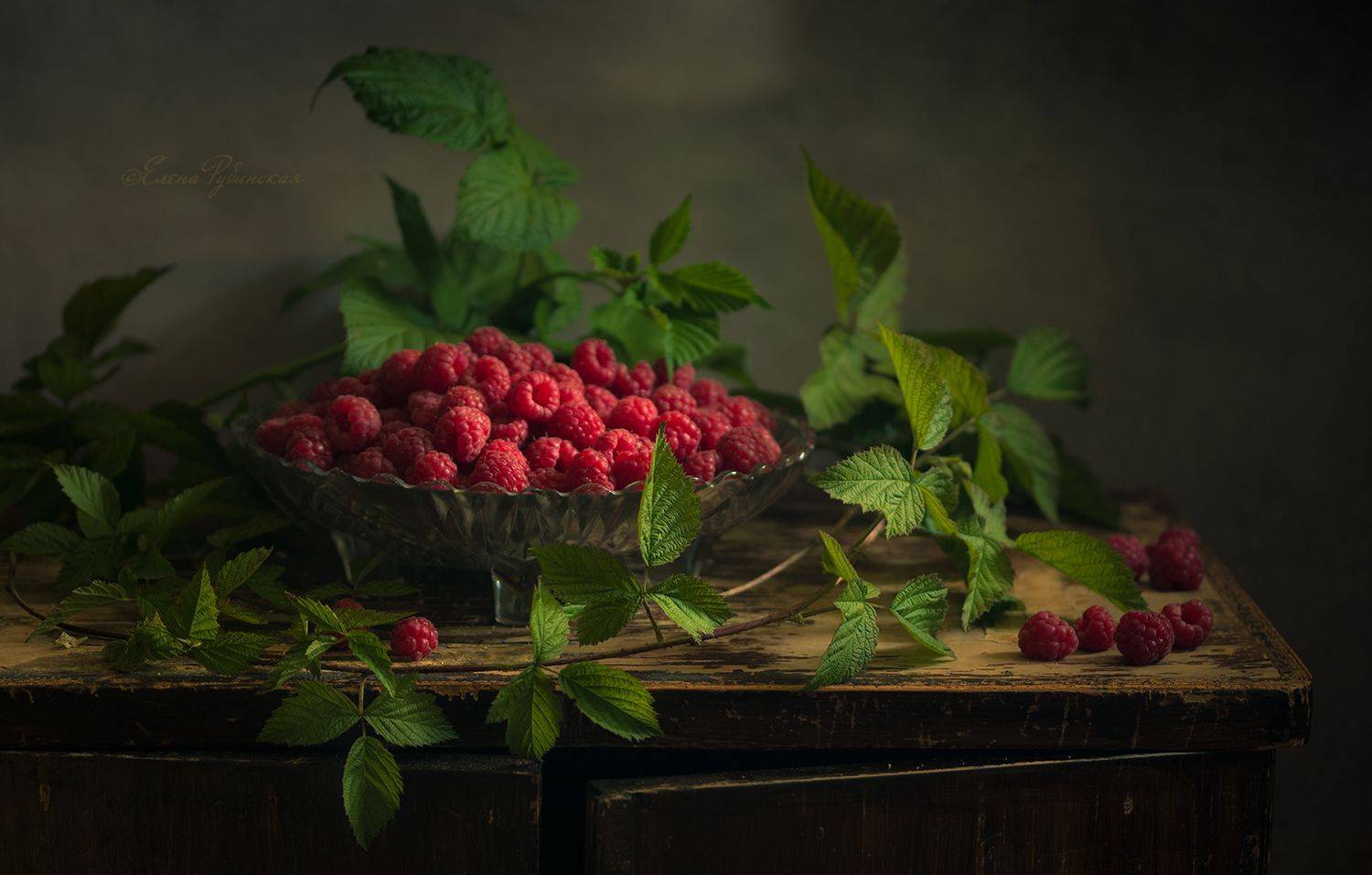 , Елена Рубинская