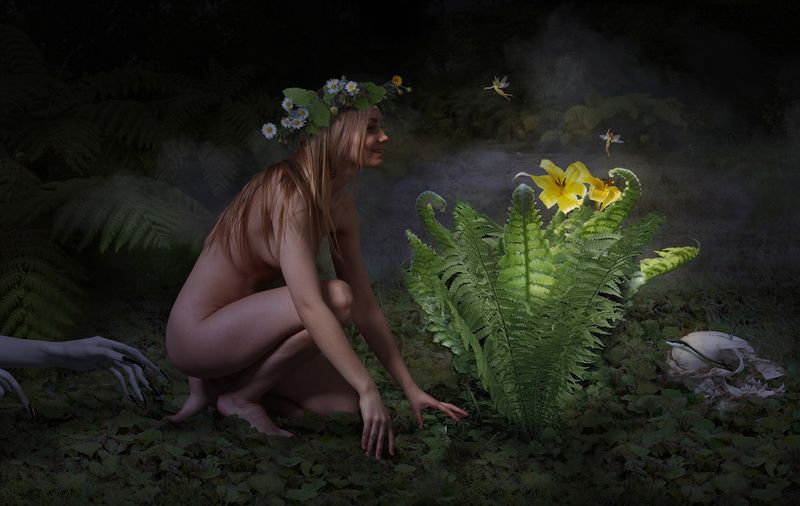 Ligo фото превью