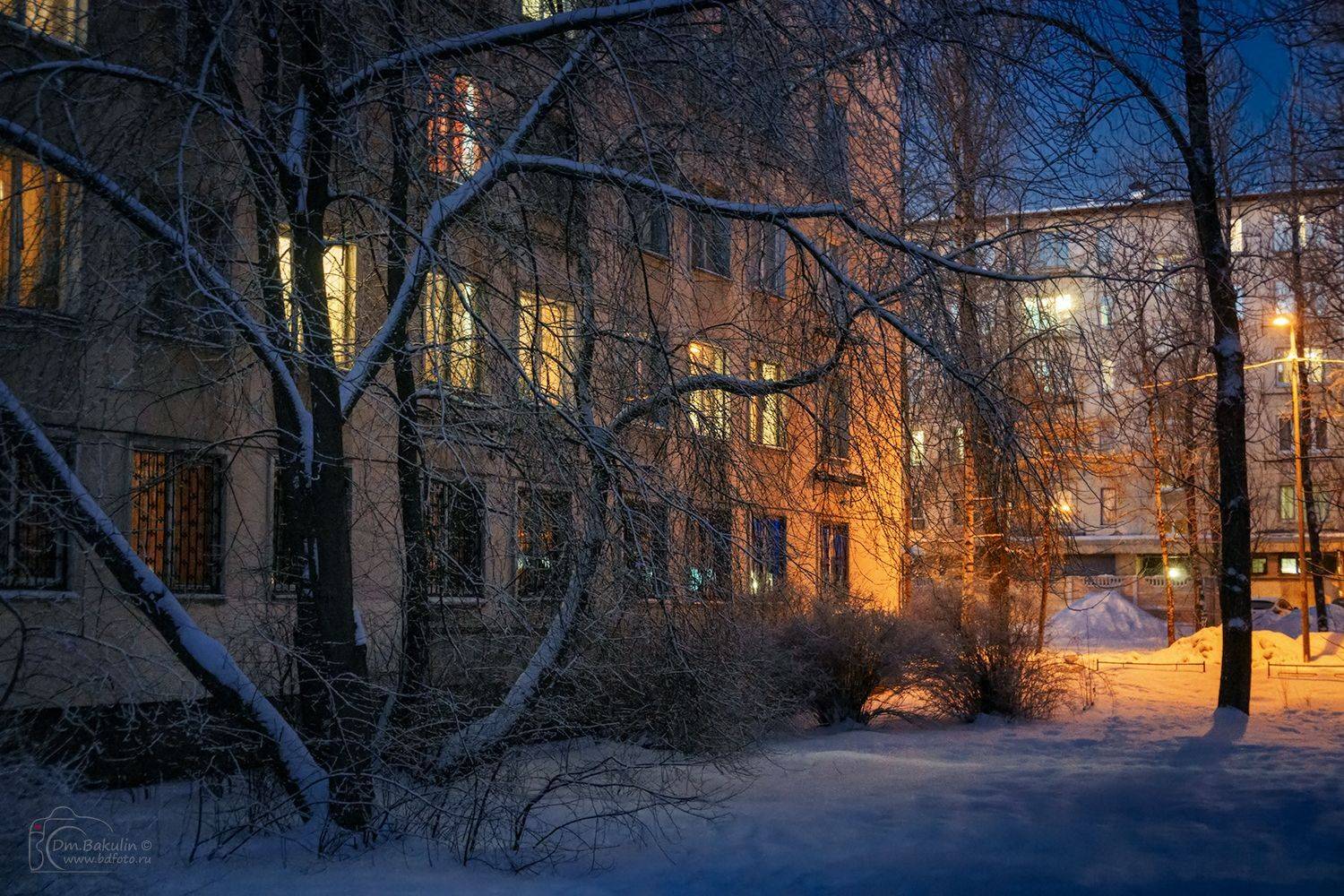 , Дмитрий Бакулин