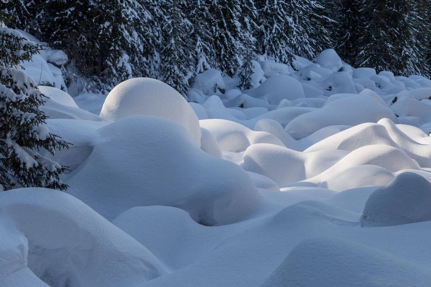 , Александър Сандев