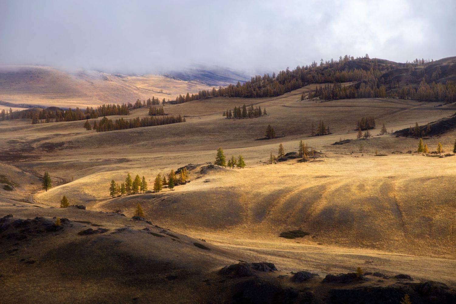 , Юрий Столыпин