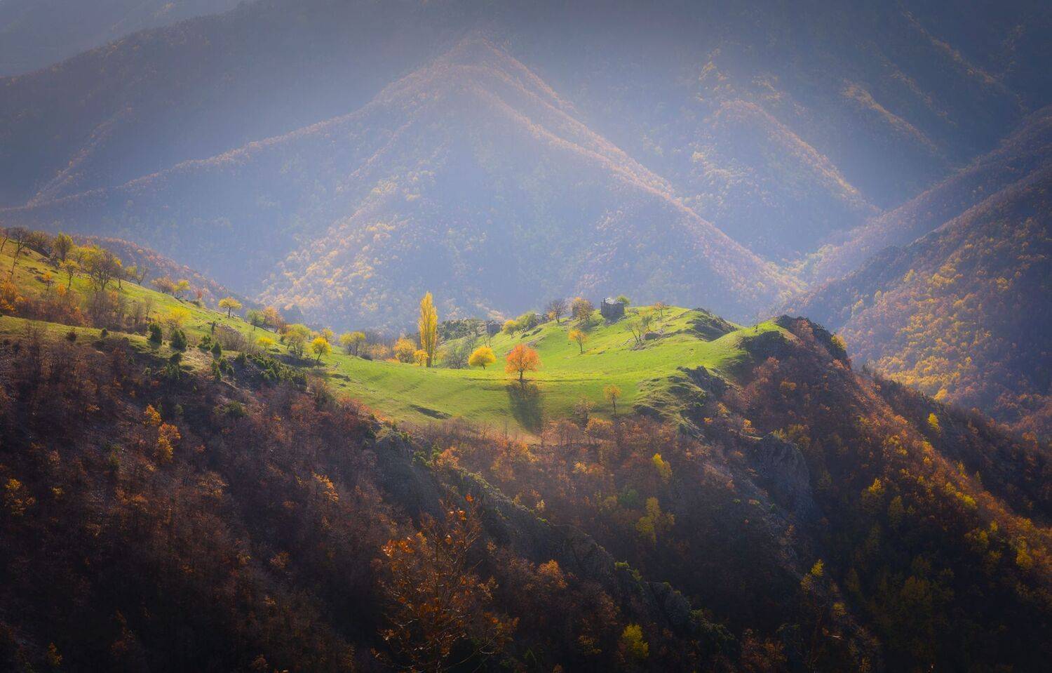 , Mariyana Atanasova - Lucero