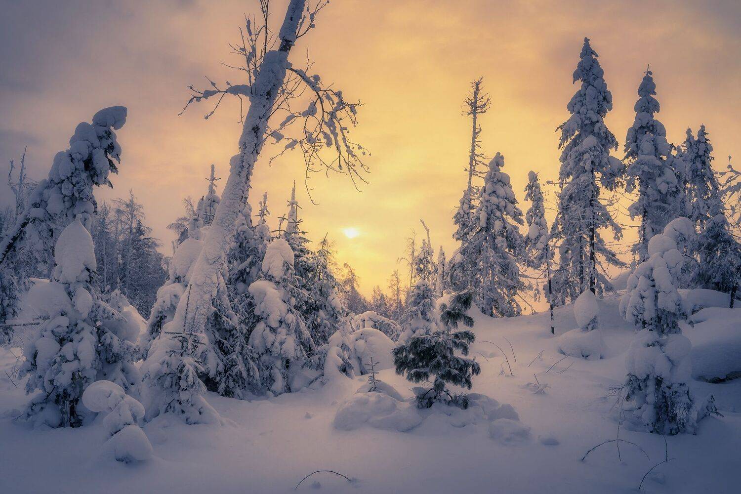 , Сергей Межин