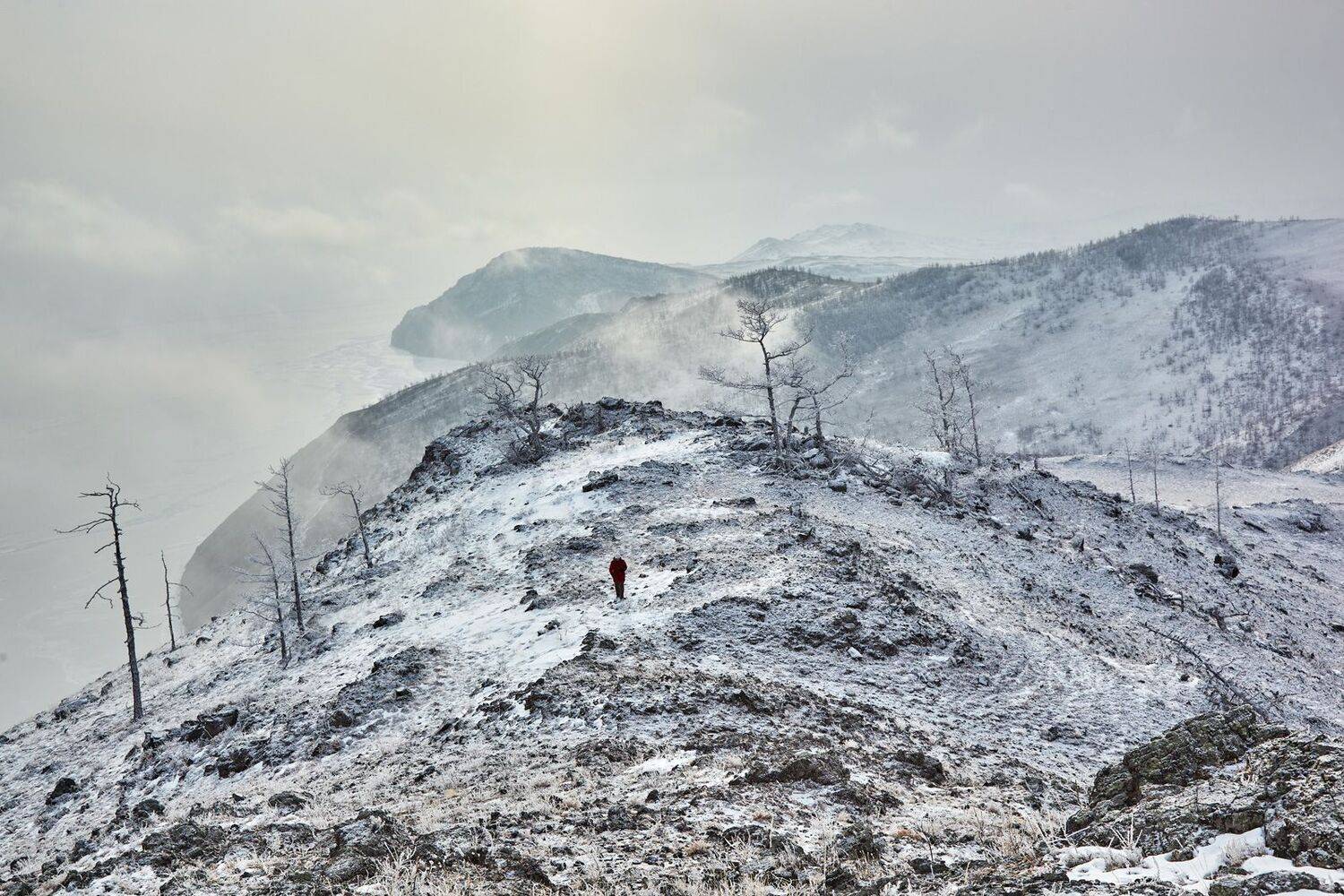 , Сергей Низовцев