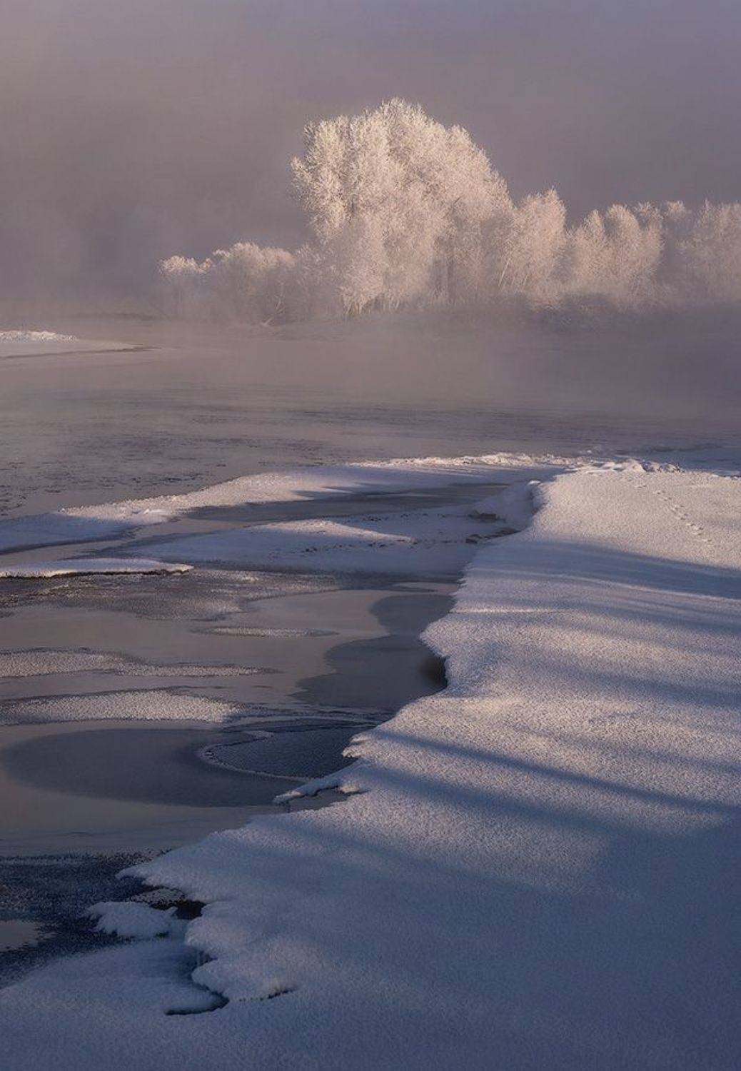 зима, сибирь, енисей, мороз, красноярский край, железногорск, енисейская сибирь, Марина Огнева