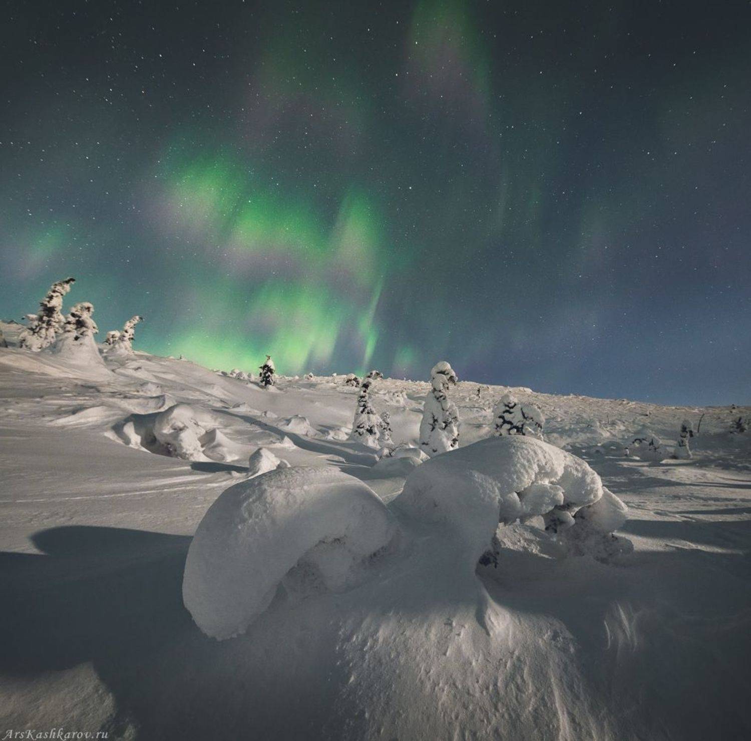 северное сияние, кандалакша, кольский полуостров, мурманская область, аврора, ночной пейзаж, лунный свет, Арсений Кашкаров