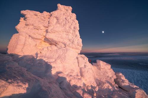 Наблюдатель