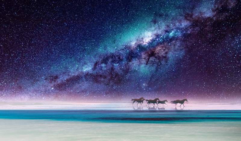 Horses фото превью