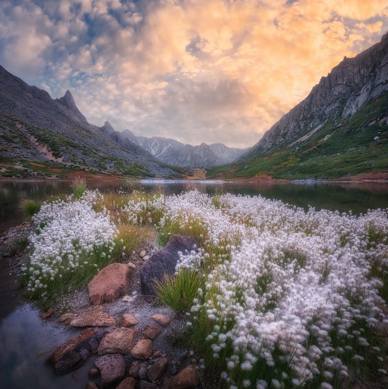 В цветочной клумбе фото превью