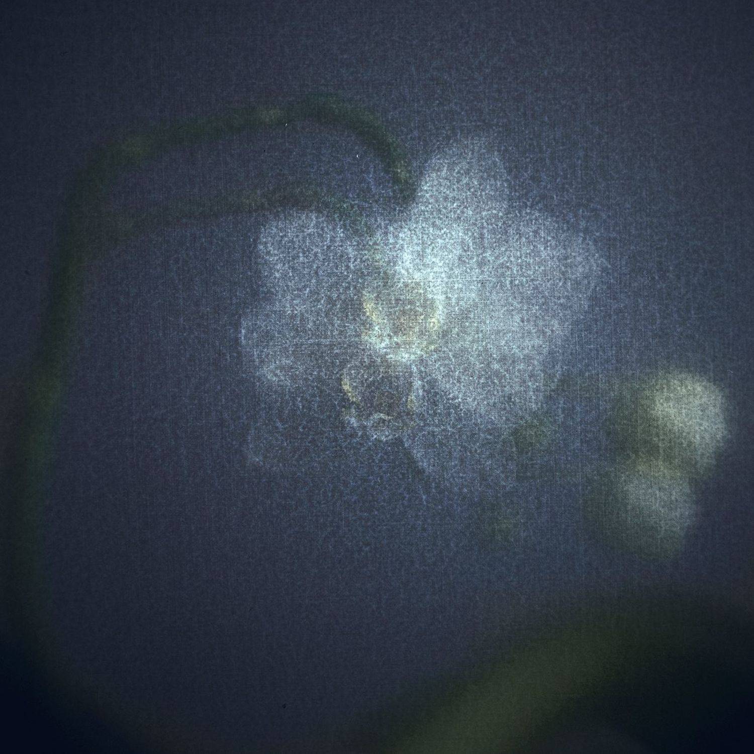 #haruhisacamera #haruhisa, Татьяна Аверина