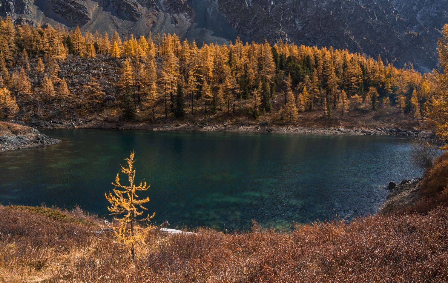 россия, горный алтай,озеро, осень, Андрей Поляков