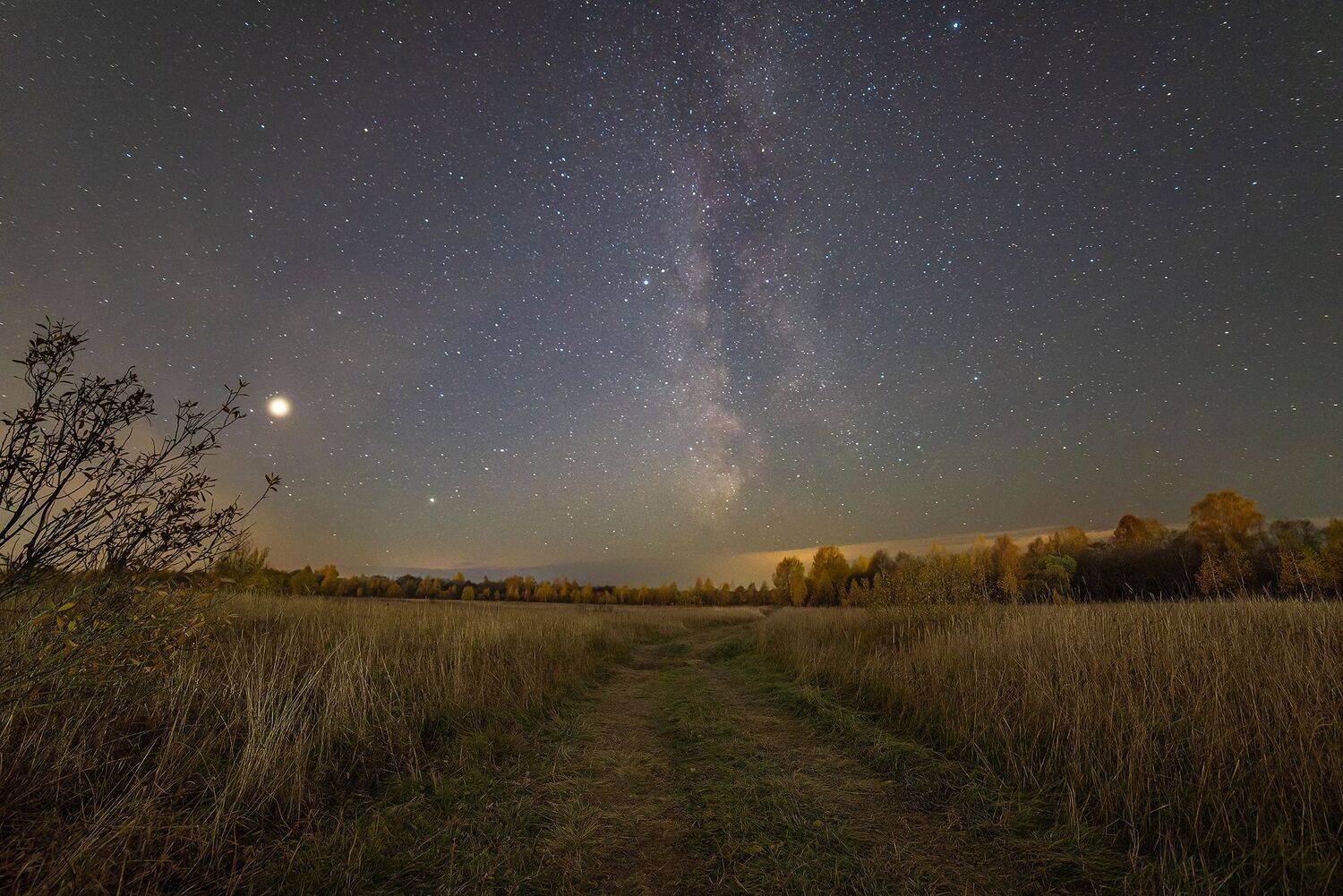 ночь звезды млечный путь юпитер сатурн вега ночное небо, Сальников Евгений