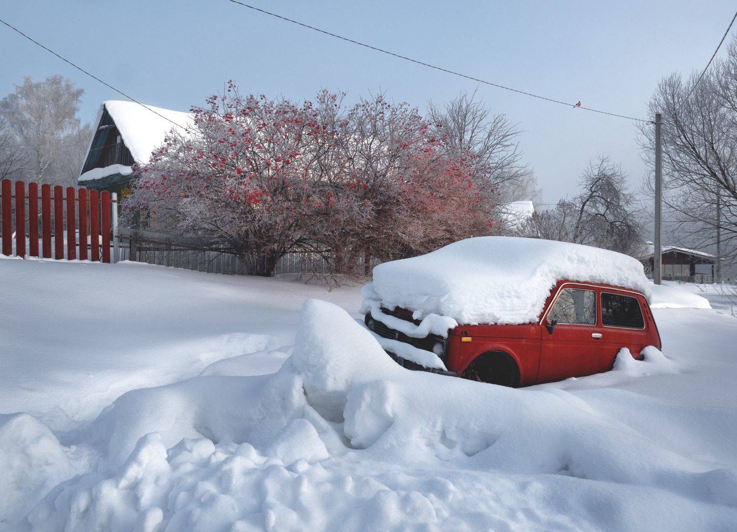 , Баранов Олег