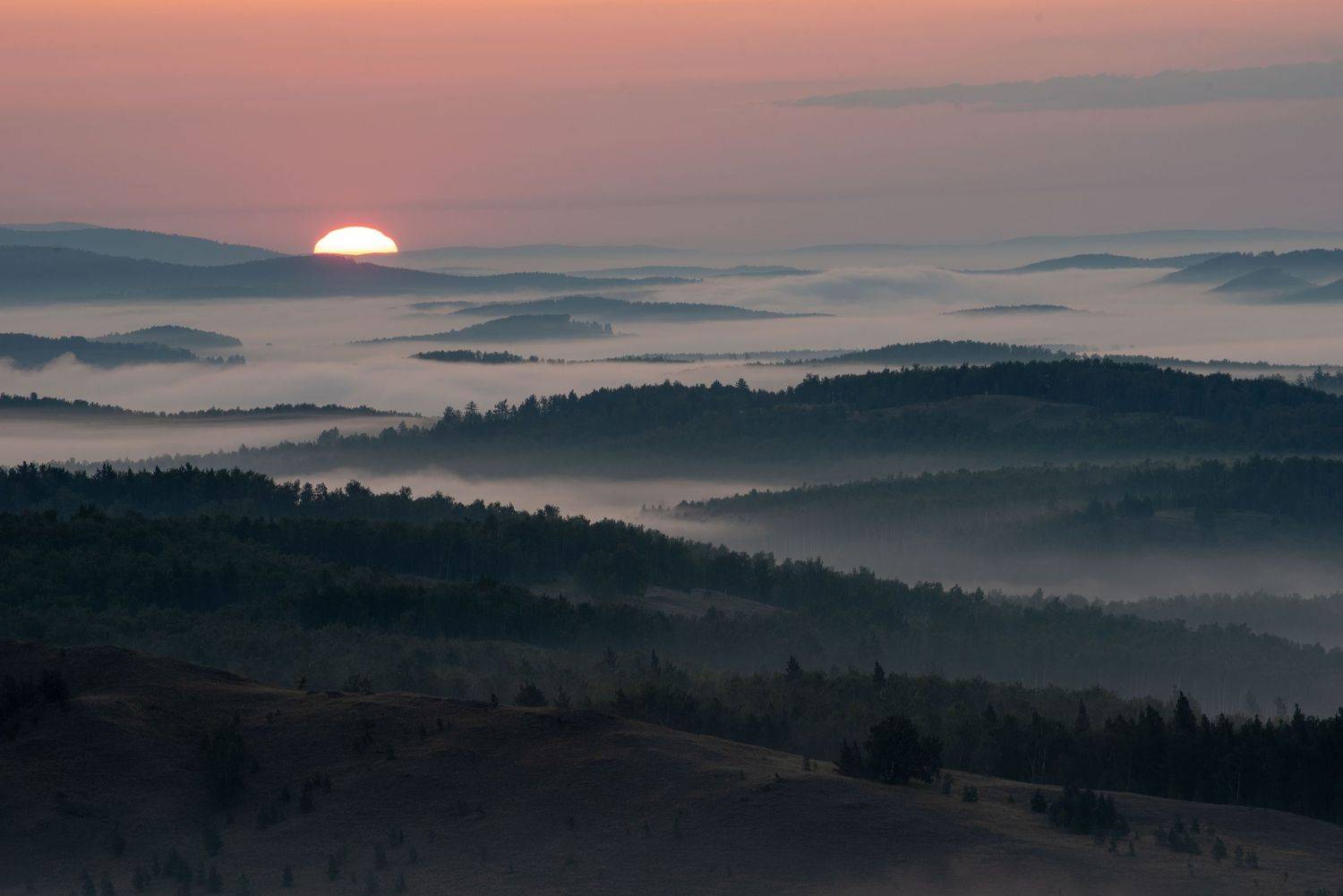 , Максим Ватрушкин