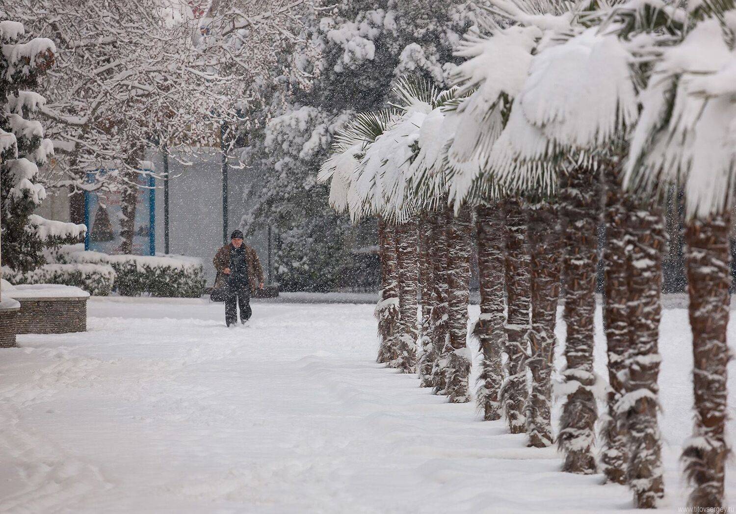 ялта, зима в ялте, снег в ялте, новый год, крым, набережная, пейзажи крыма, набережная ленина, пальмы в снегу, Serge Titov