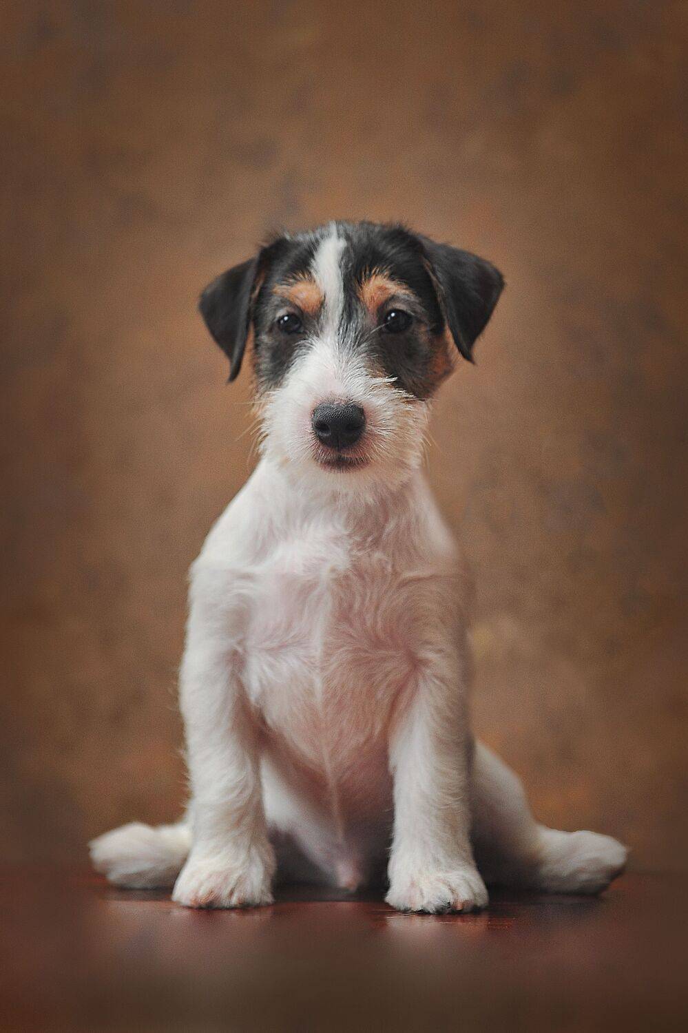 , Ксения Лысенкова