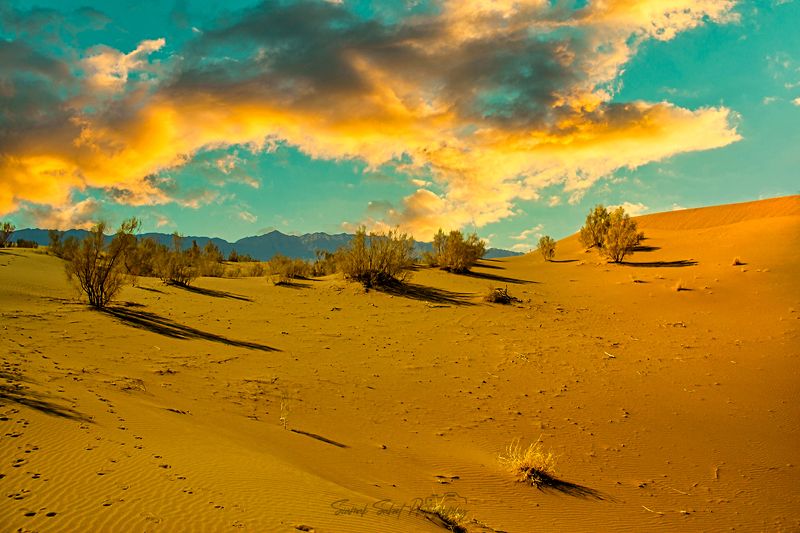 Golden Time фото превью