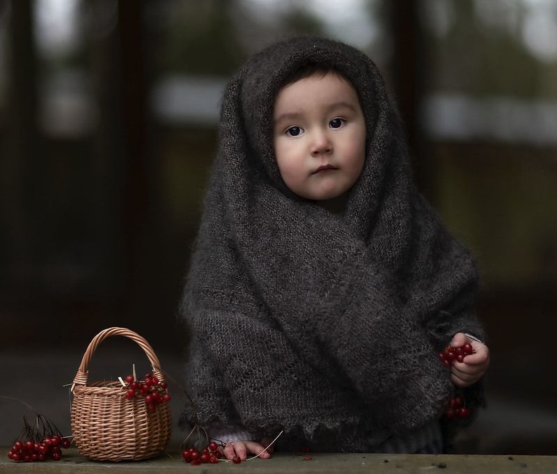 малыш,калина,портрет, child, kids, portrait, berry, nature Малыш с калиной фото превью